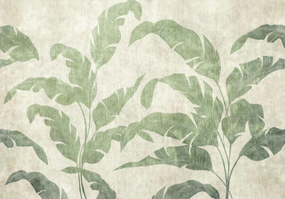 Cordonne - Leaves Shadow