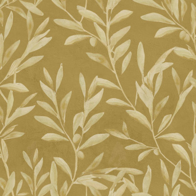 Cordonne - Olivetum 