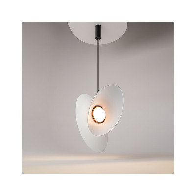 Evolution pendant lamp