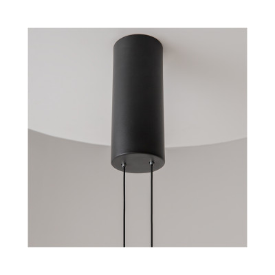Evolution pendant lamp