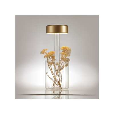 Battery gold lamp