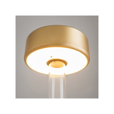 Battery gold lamp