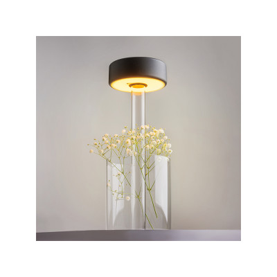 Battery clear table lamp