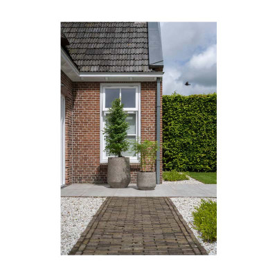 Harith High L plant pot