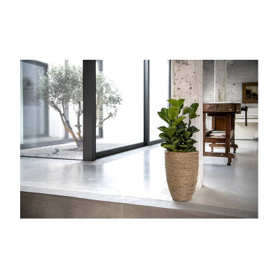 Ben L straw plant pot