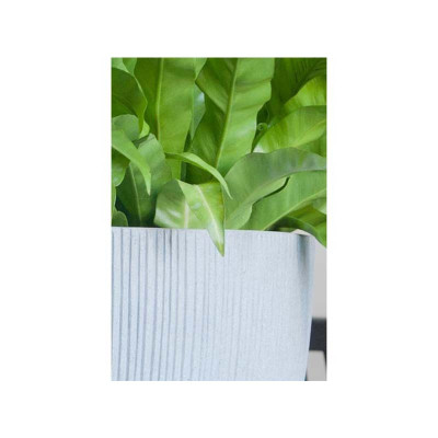 Ben L, Light grey plant pot