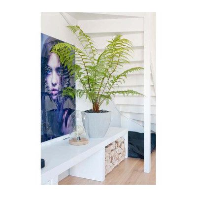 Jesslyn S, Light Grey plant pot