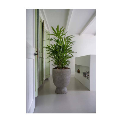 Jola L, Diorite grey plant pot