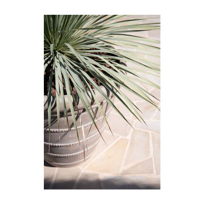 Selena Chalk beige plant pot