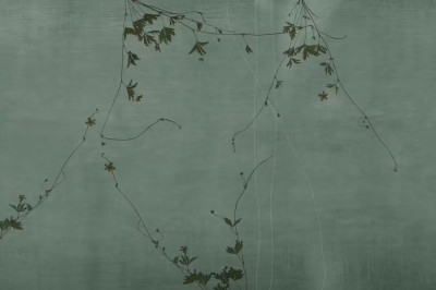 Glamora - Verdant Veil