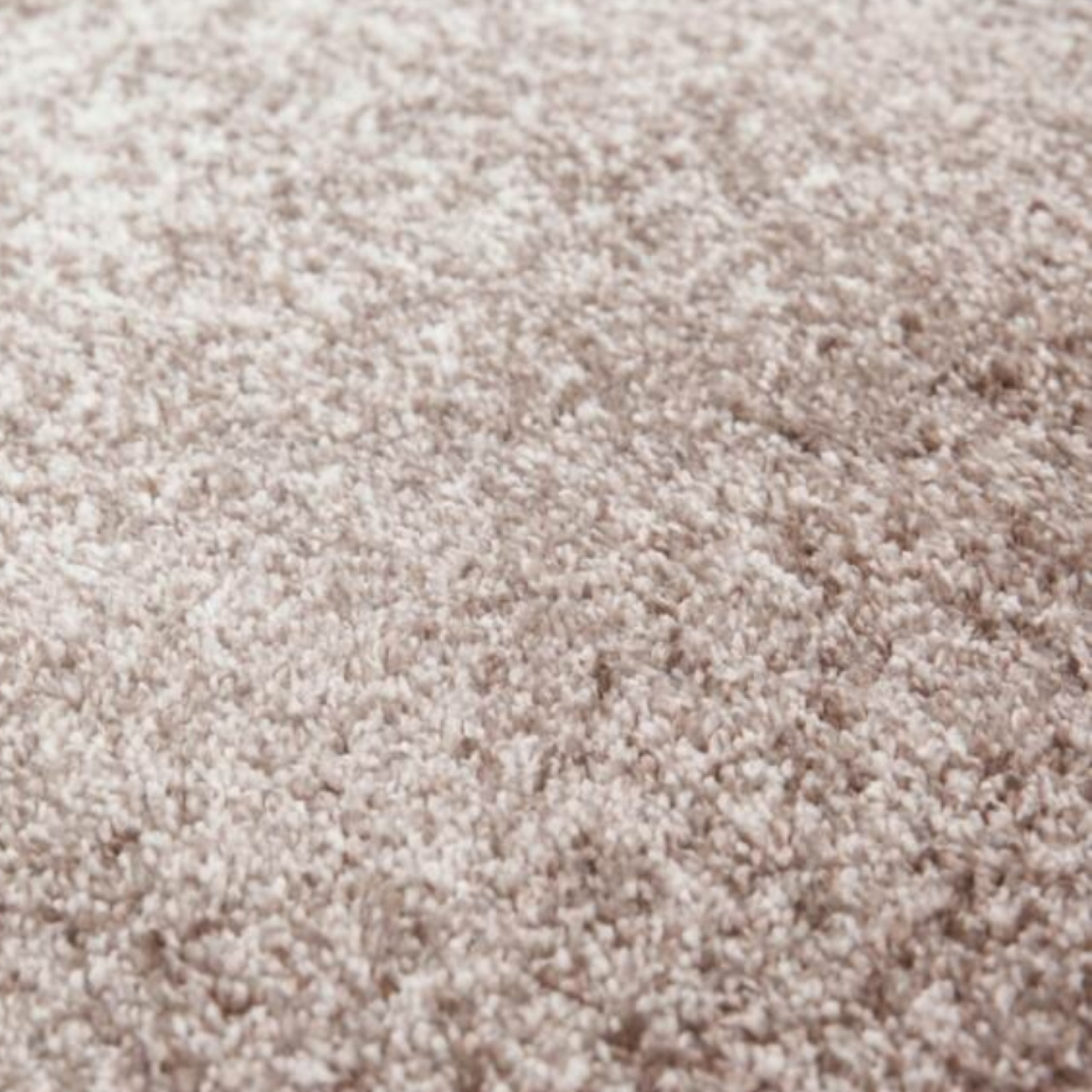 Feeling beige carpet